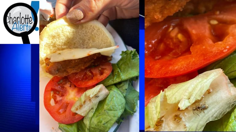BUG FOUND IN CUSTOMER'S CHICK-FIL-A SANDWICH, CLIENT SPREAD THE WORD AND GOT BANNED