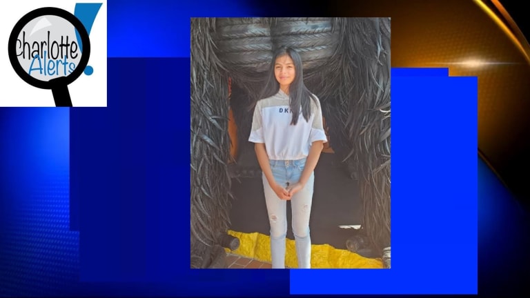 11-YEAR-OLD GIRL MISSING, LAST SEEN LEAVING SCHOOL