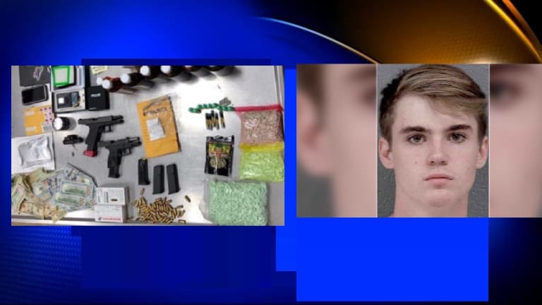 TEENAGE DRUG BUST TURNS UP $10,000 CASH, XANAX PILLS, LSD, AND STOLEN GUNS 