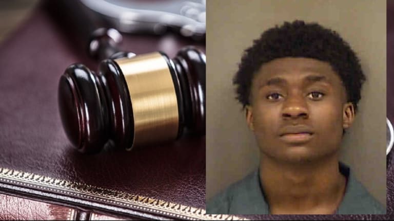 TEENAGER PLEADS GUILTY TO BREAKING INTO MULTIPLE VEHICLES 