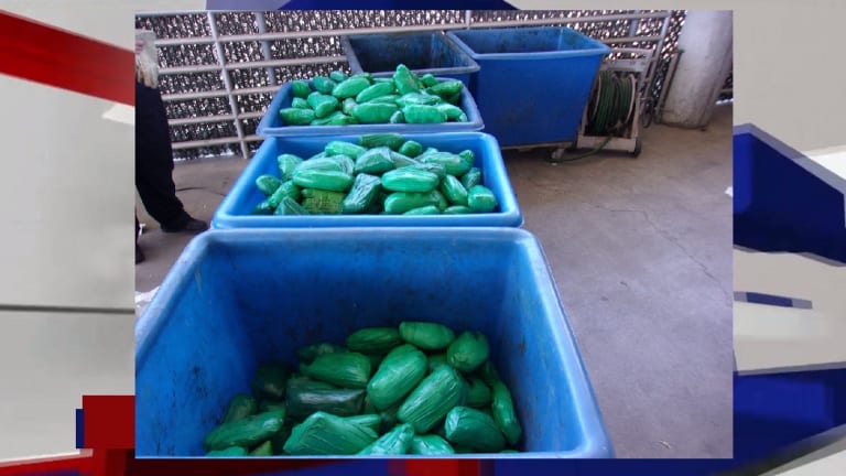 $61 MILLION IN MARIJUANA AND METH DISCOVERED IN CACTUS SHIPMENT ON BIG RIGS 