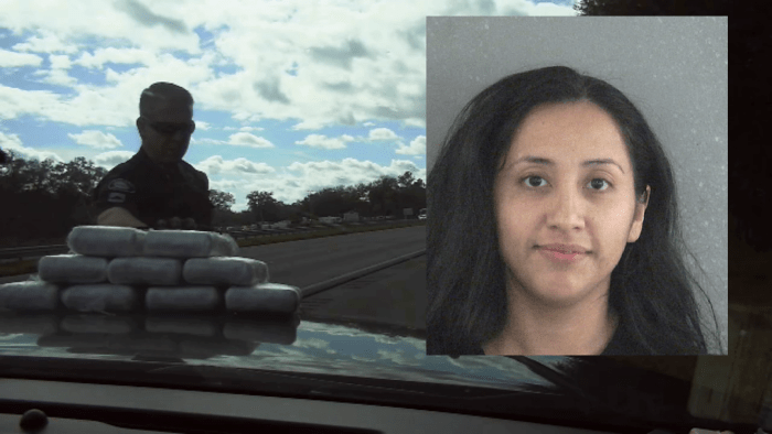 Watch video of woman caught with $1.2 million worth of cocaine, she was 12 kilograms