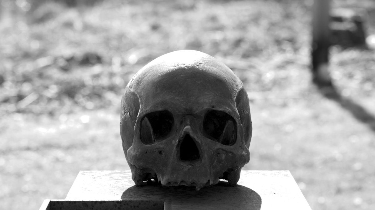 A mysterious skull discovered under a basilica could be that of a king lost in Hungary