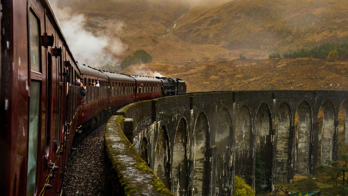 The "Harry Potter" series announces part of its cast and hype intensifies despite the controversies