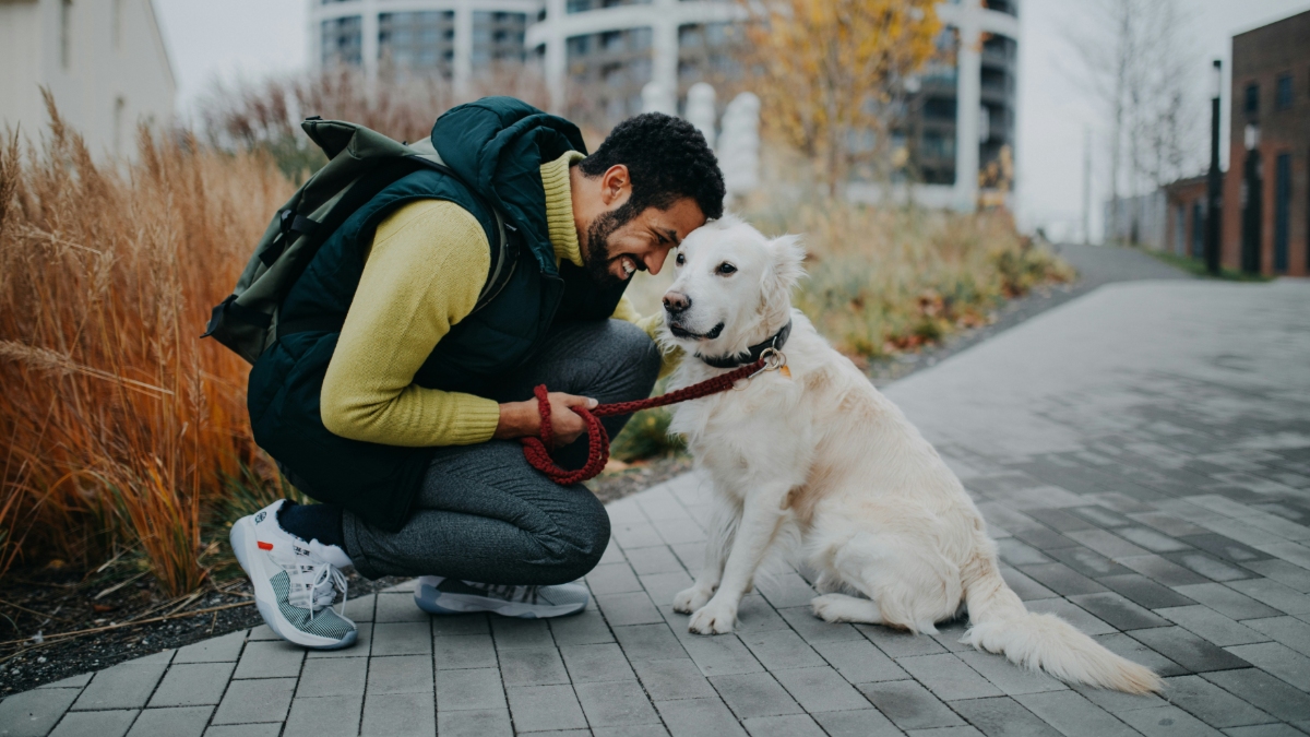 The human-dog relationship is one of the major markers in our modern history