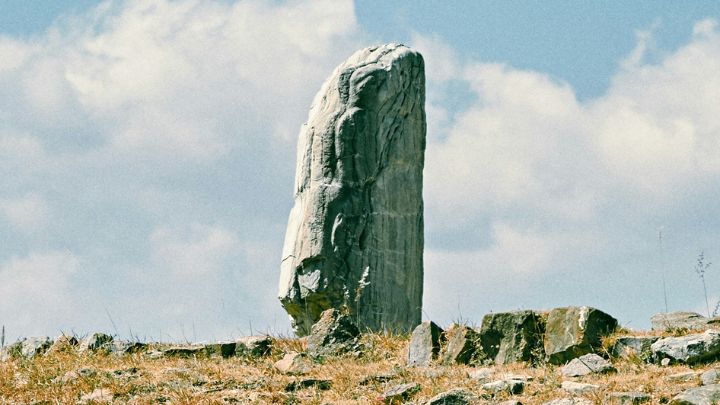 The intuition of a student allows the discovery of an old ceremonial site 3,700 years old in a forest