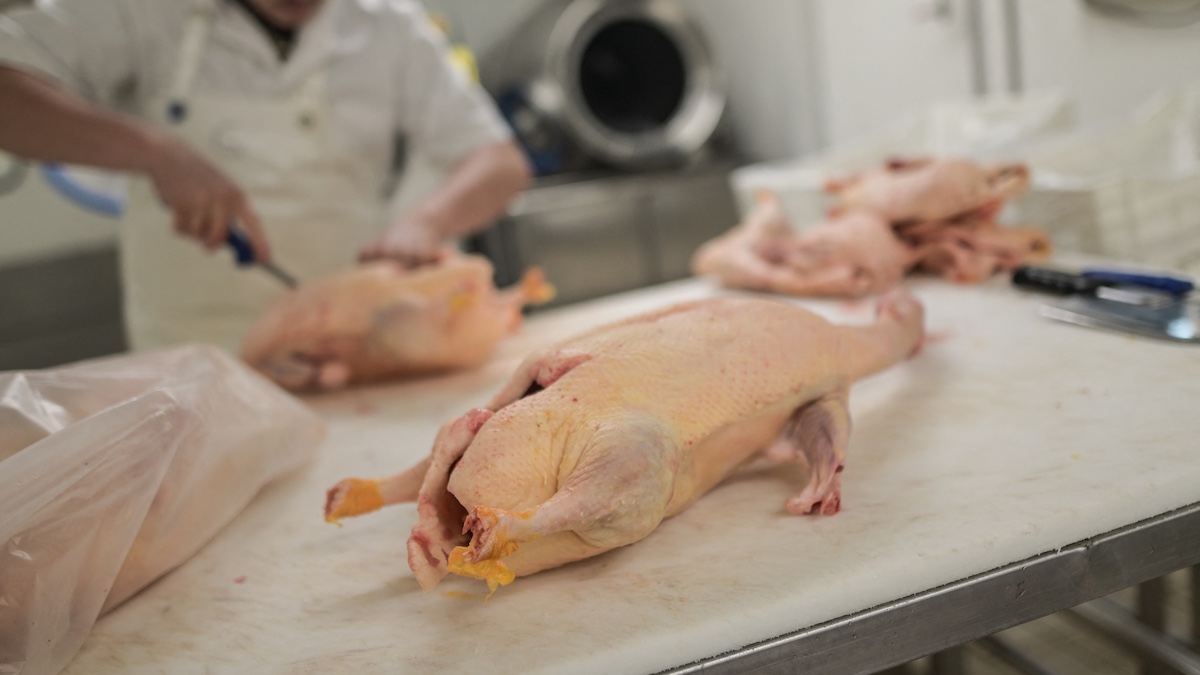 The foie gras, next victim of climate change?