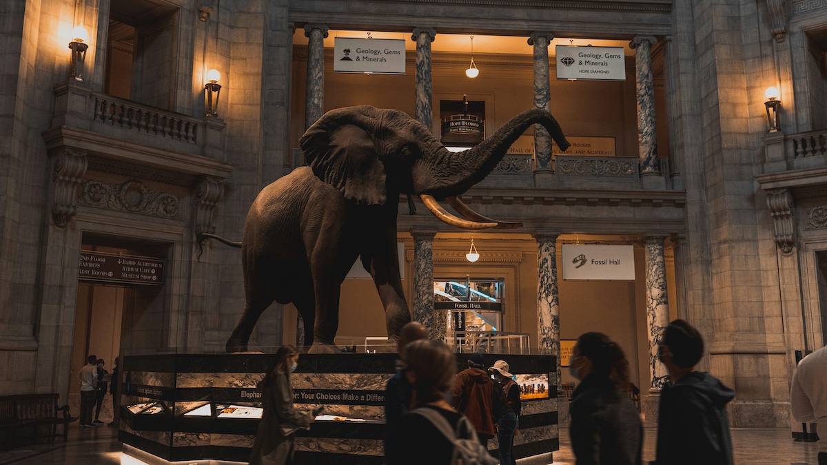 Donald Trump has a new target: zoos too wokes