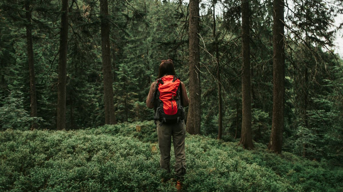 In the United States, a high school no longer punishes with glue... but with hikes