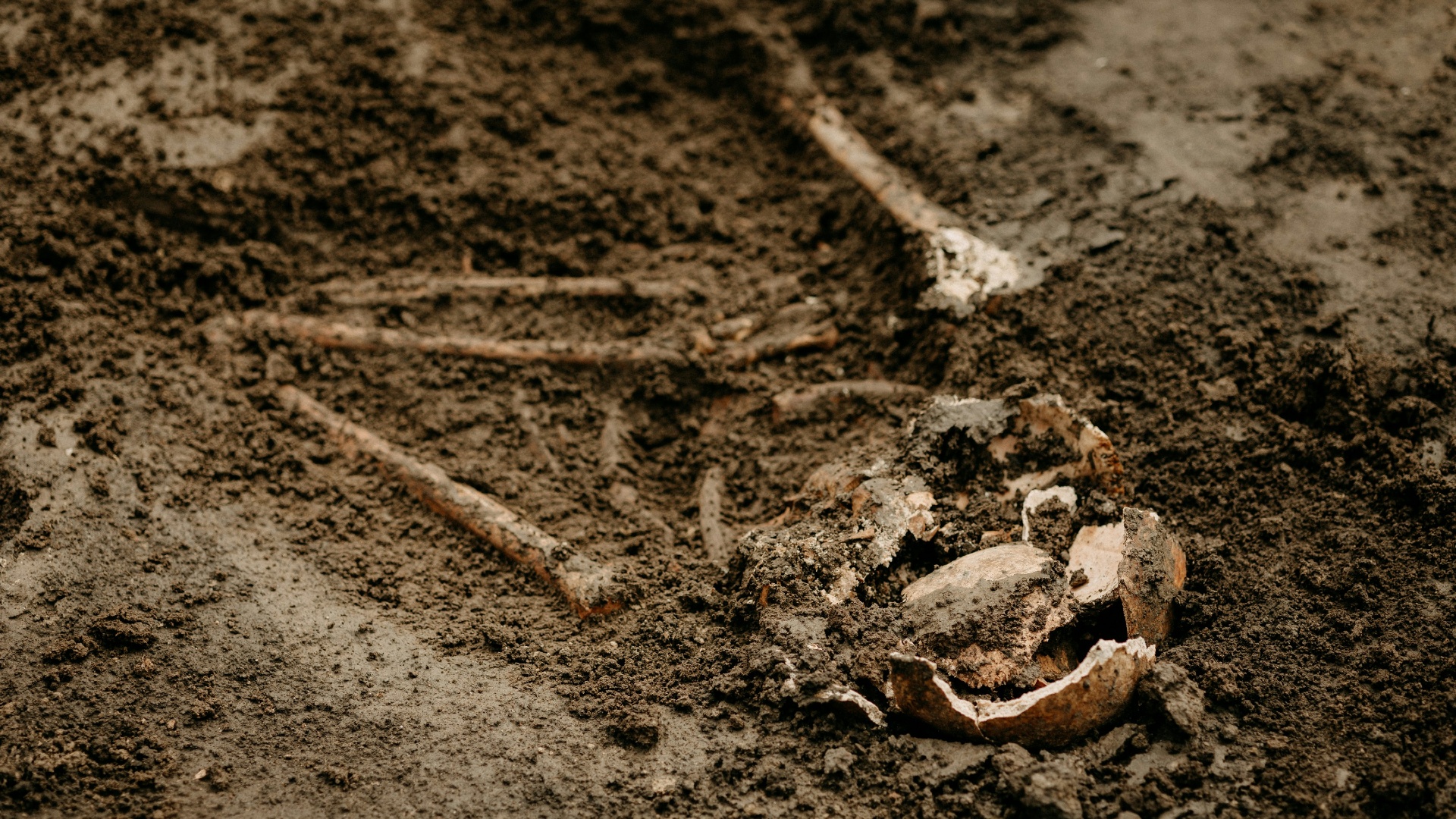 We know more about bloody massacres that have made thousands of victims in Neolithic Alsace