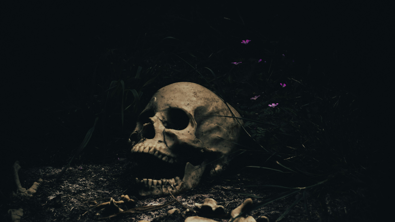 A decapitated head buried under walls tells us more about the Romans' methods of intimidation