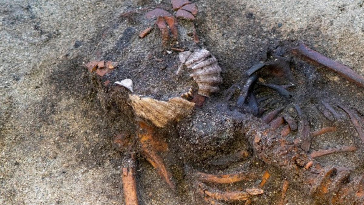 Strange ritual: why was a Viking woman buried with scallops on her mouth?