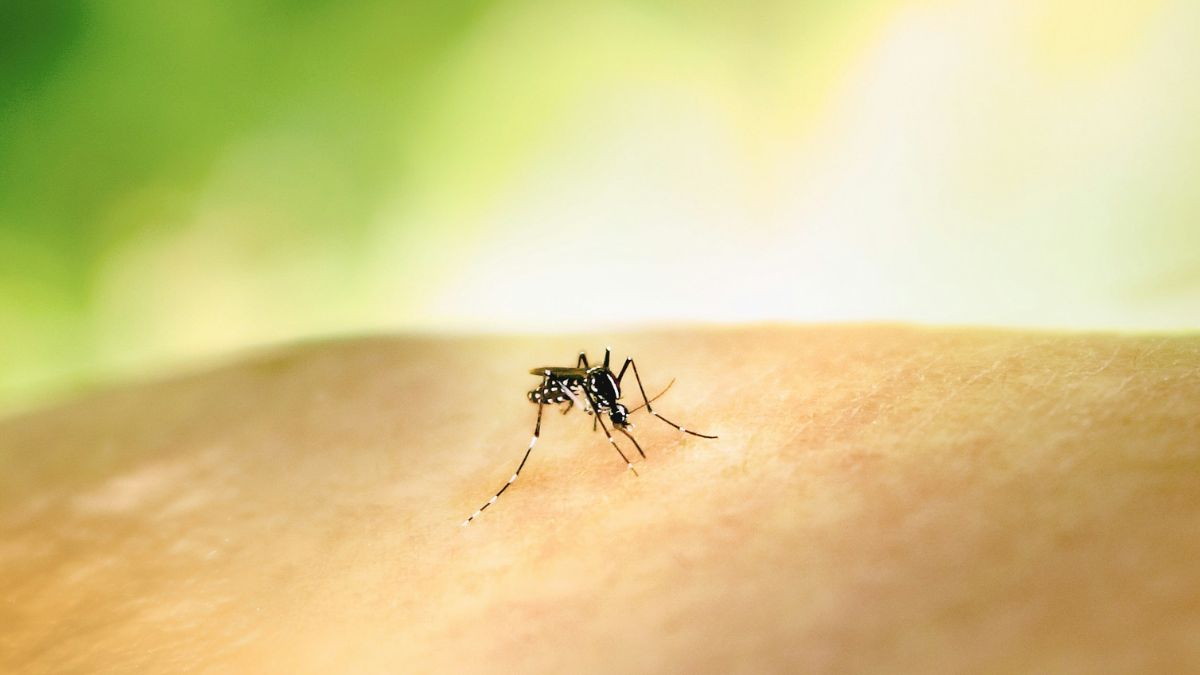 China unveiled its new mosquito-sized spy drone, confirming its lead in the field