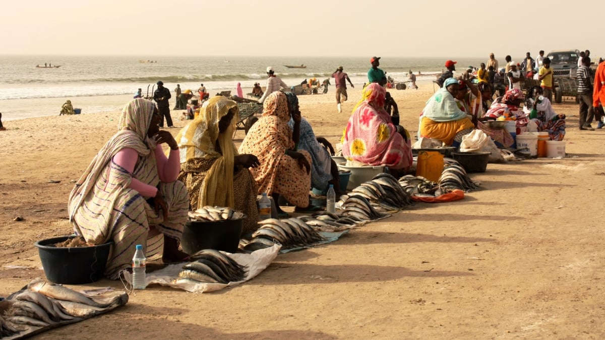 In some African countries, the tradition of force-feeding young girls still persists