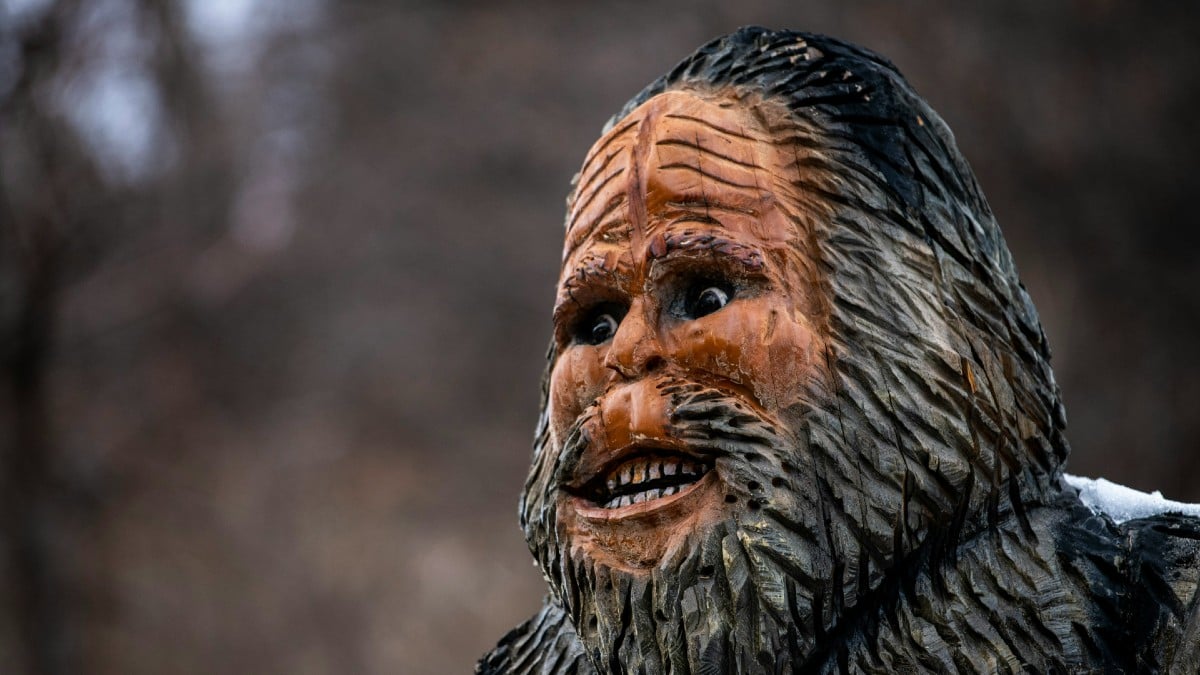 Bigfoot reportedly seen six times in less than a week in Ohio