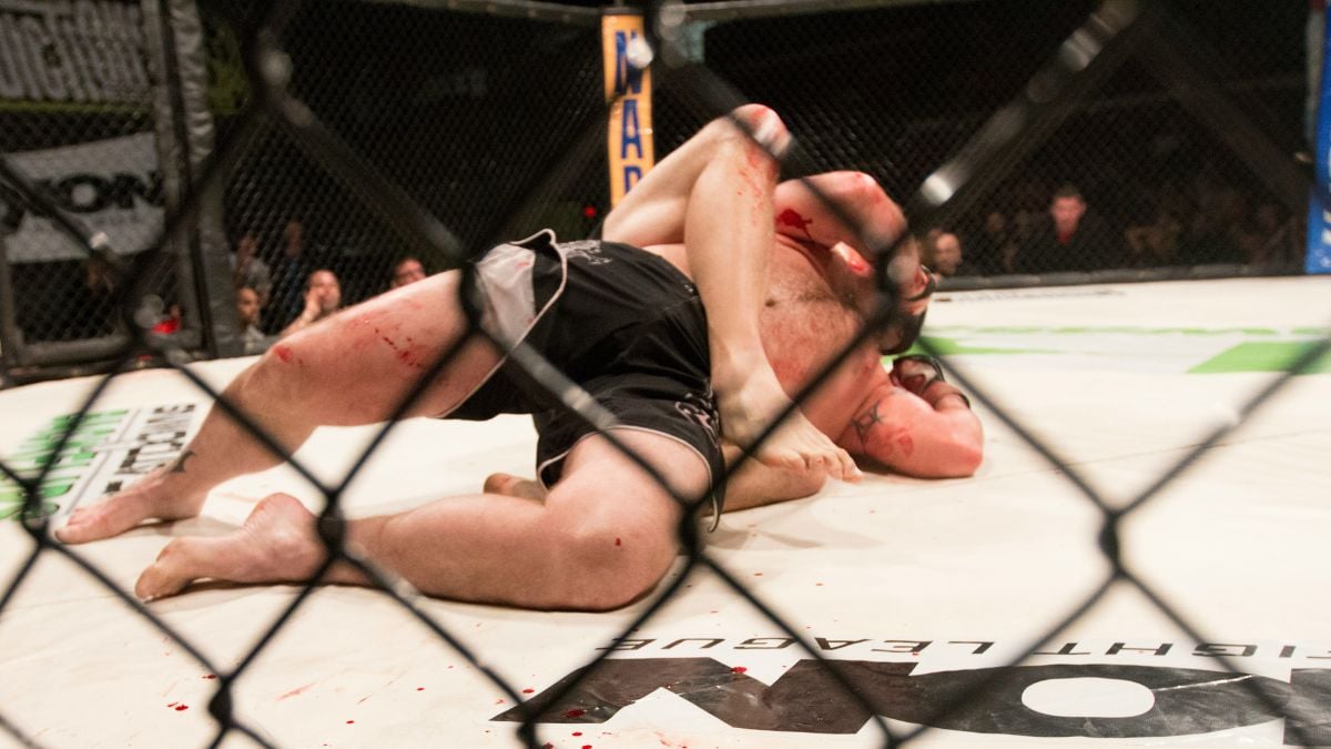 Donald Trump is going to host an MMA fight at the White House, and it makes complete sense