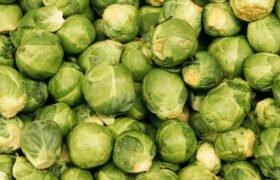 Don’t like Brussels sprouts? You are completely out of date