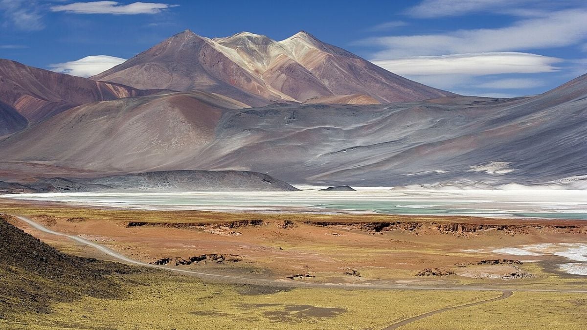 Researchers have discovered a strange life form capable of surviving the world's driest desert