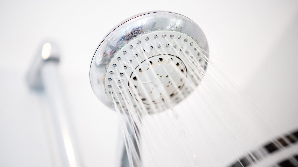 Your shower is invaded by millions of bacteria: should you be worried?