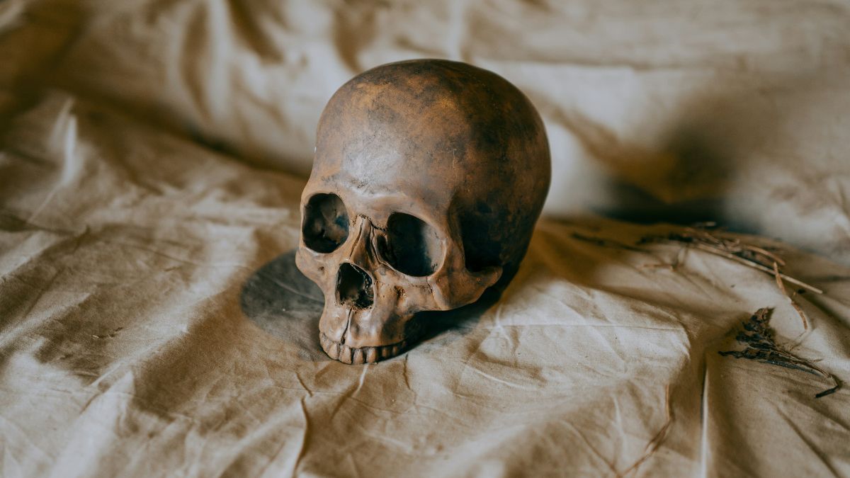 Child mummies reveal grisly new details about Inca ritual sacrifices