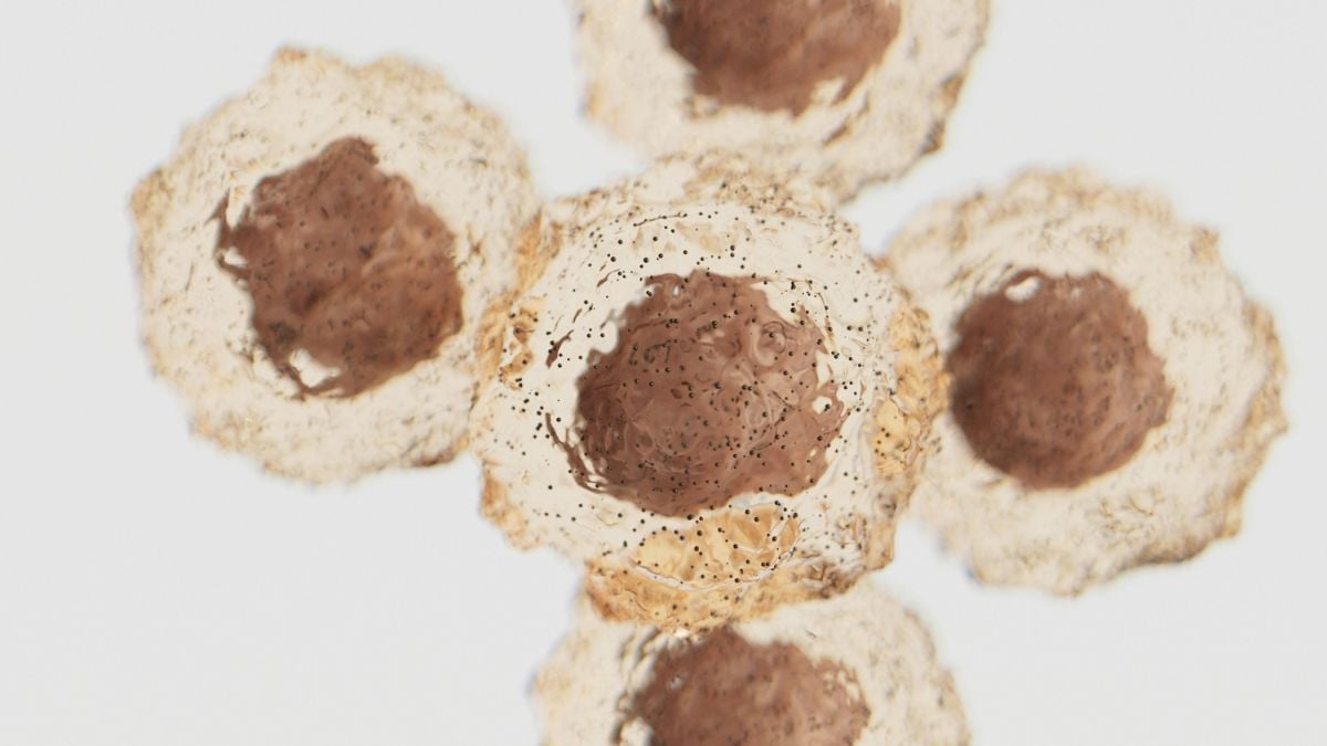 Researchers have turned a bacteria into a weapon that eats cancer tumors from the inside