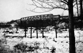 The scandal of wild exhumations of poilus just after the First World War