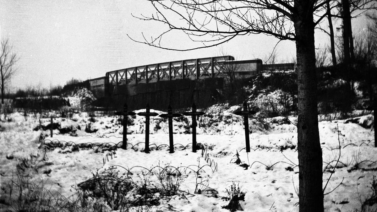 The scandal of wild exhumations of poilus just after the First World War