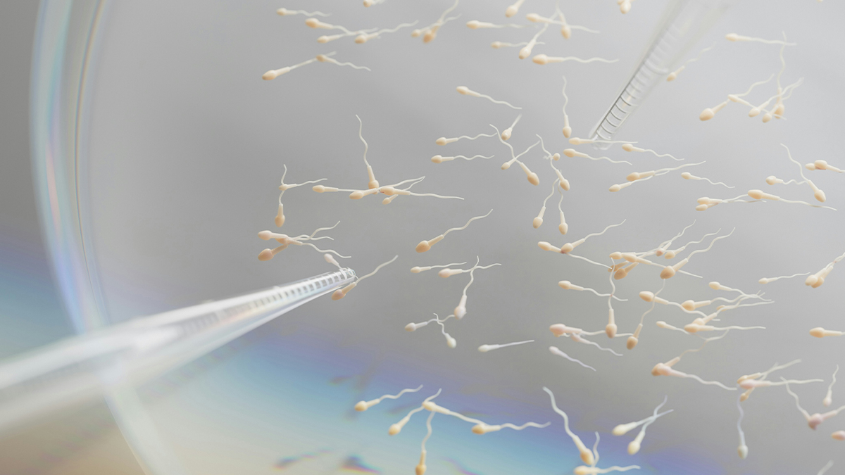 A start-up claims to have created human sperm in the laboratory, a revolution