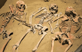 Neanderthals lived in the same cave 10,000 years apart and they were from the same family