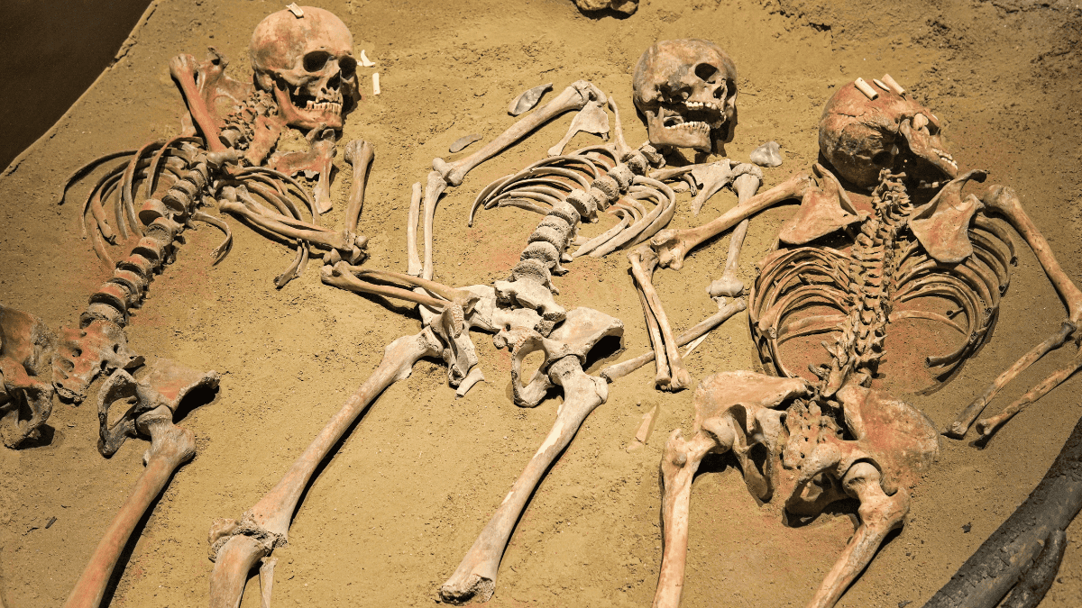 Neanderthals lived in the same cave 10,000 years apart and they were from the same family