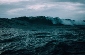 Oceans Mysteriously Darken, Consequences Could Be Terrible