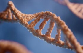 Scientists manage to neutralize the genetic cause of Down syndrome in the laboratory