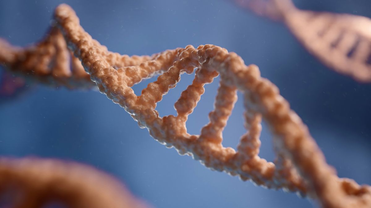 Scientists manage to neutralize the genetic cause of Down syndrome in the laboratory