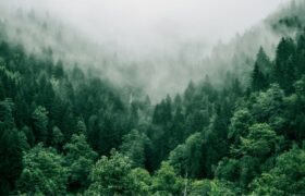 This Polish guru living in the mountains had hidden his treasure there, researchers may have found it