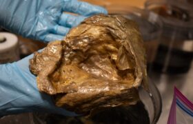 This intriguing golden sphere discovered at the bottom of the ocean in Alaska has finally been identified