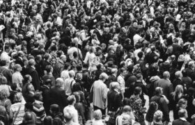We are 8.3 billion humans, our planet can only feed 2.5 billion