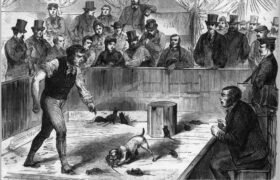 When the basements of Paris sheltered fights between dogs and rats