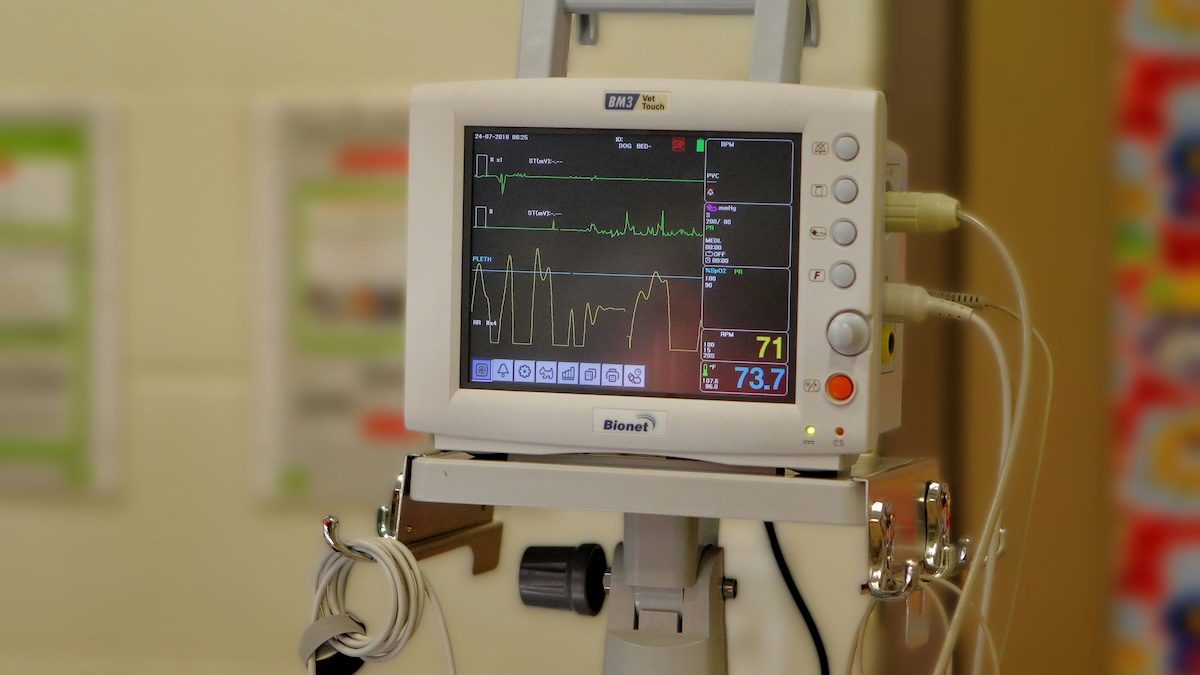 Why are there so few heart cancers? Probably thanks to its beats, says science