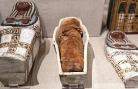 How did a fragment of the “Iliad” end up inside an Egyptian mummy? It’s a long story