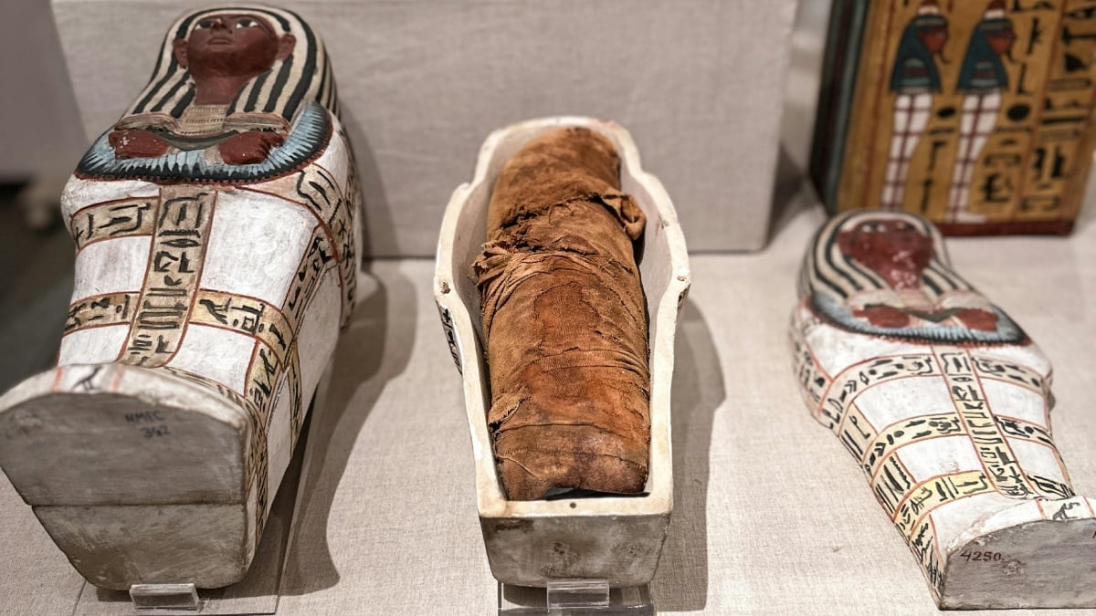 How did a fragment of the “Iliad” end up inside an Egyptian mummy? It's a long story