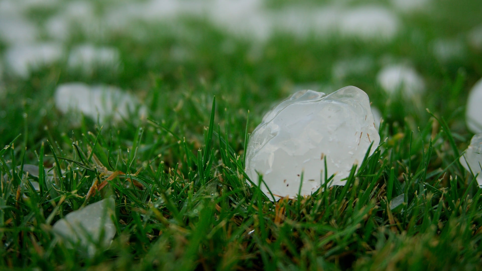 If you like hailstones as big as grapefruit, you'll love global warming