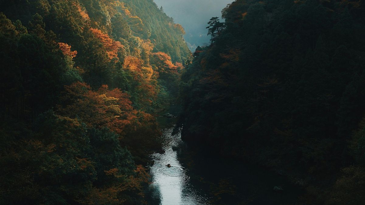 Mysterious giant virus discovered in Japanese river reignites debate on origin of life