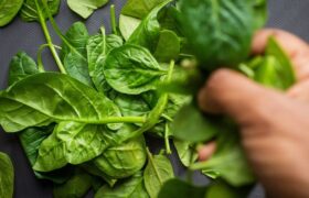 Researchers put spinach in mouse eyes to trigger photosynthesis and it worked
