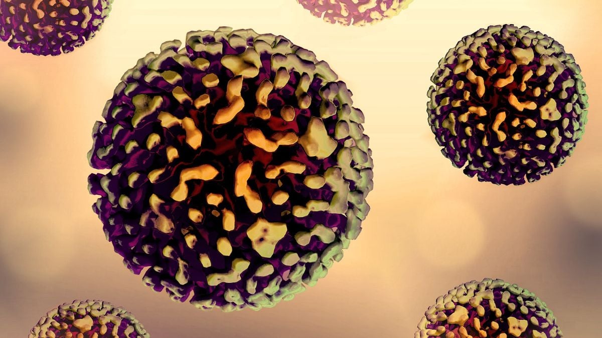 Scientists may have found the first truly effective treatment for hepatitis B