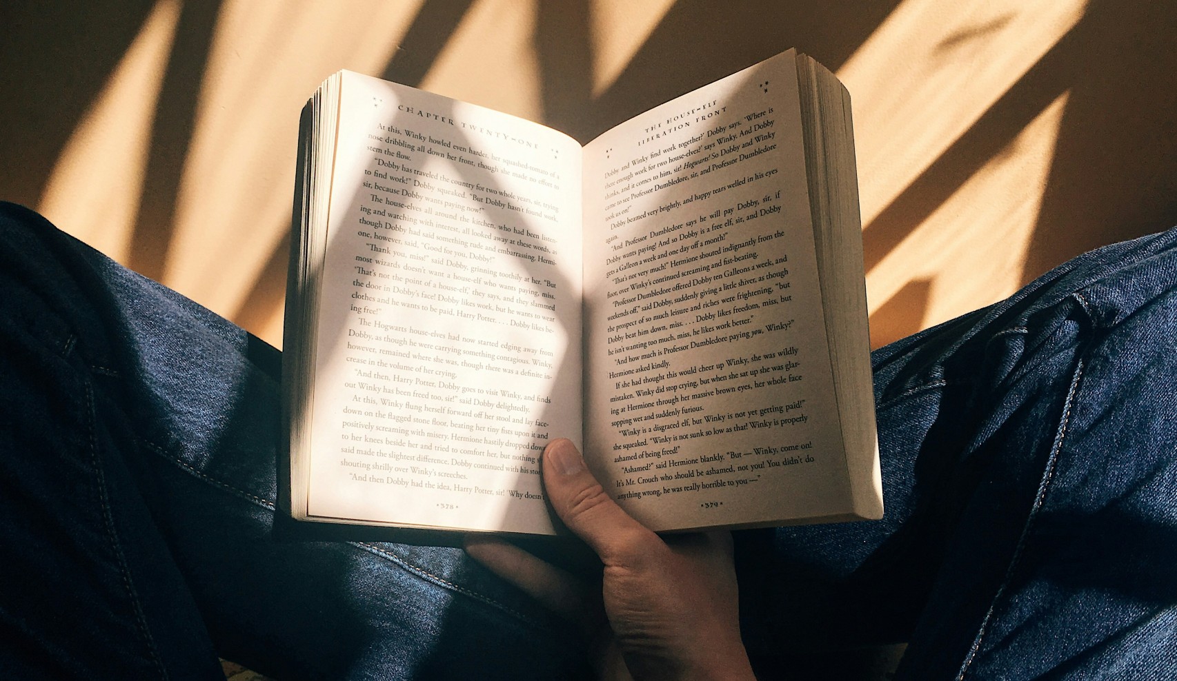 To remedy loneliness, there is only one remedy: reading, again and again