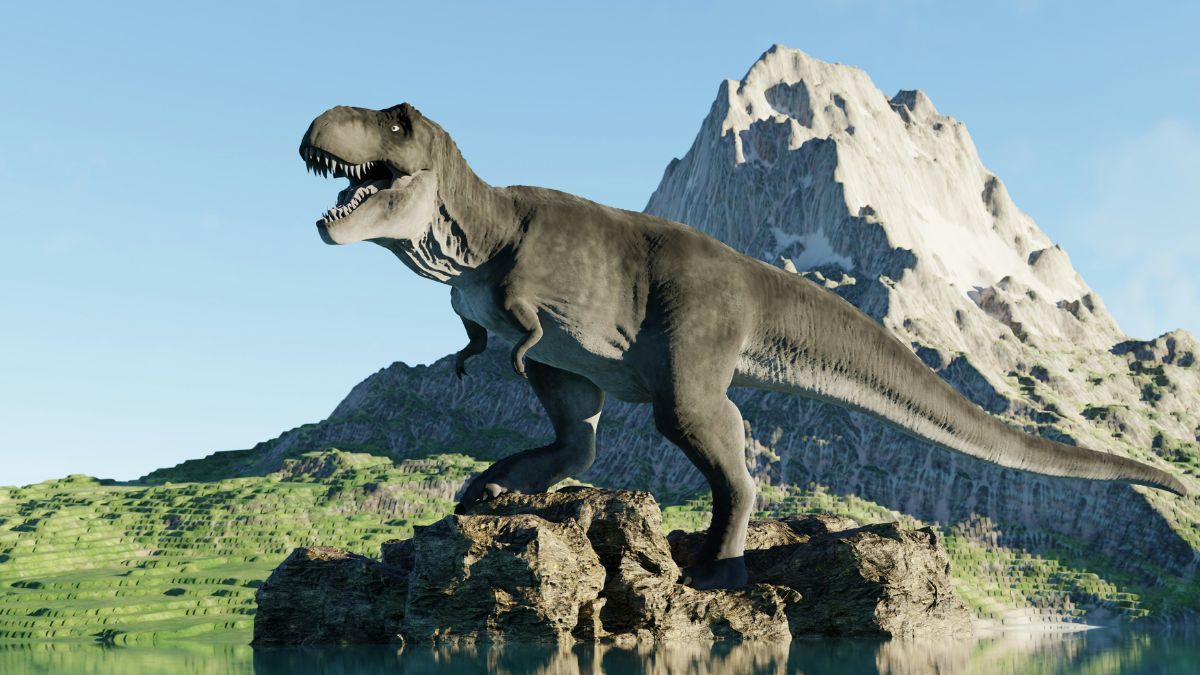 Why did Tyrannosaurus have such small arms? A study offers a fascinating answer