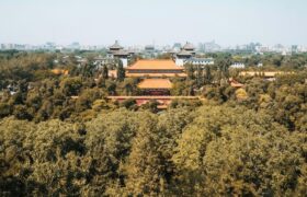 Billions of trees planted by China grow much faster than natural forests