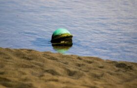 Mysterious ‘space spheres’ washed up on Australian beach contain toxic liquid