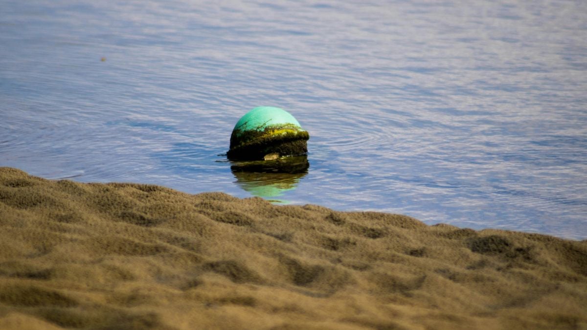 Mysterious 'space spheres' washed up on Australian beach contain toxic liquid