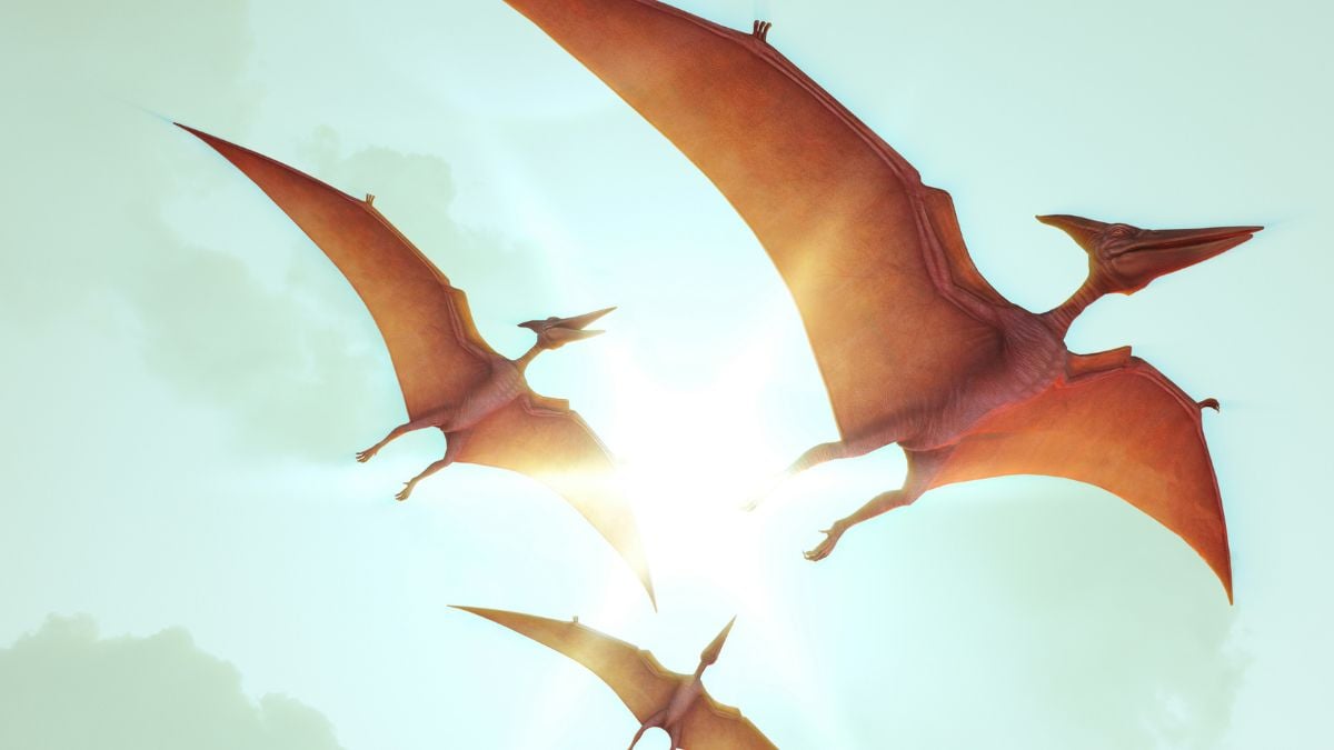 We found molecules on the wings of a pterosaur that tell us what it ate for breakfast